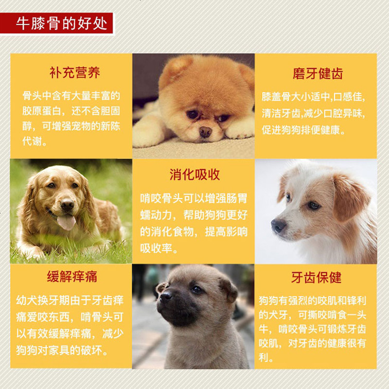 狗狗磨牙骨头狗零食金毛磨牙棒洁齿 牛膝盖骨