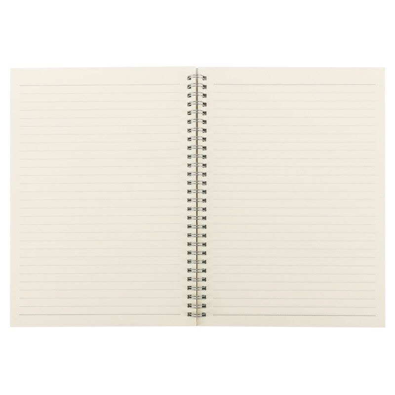 得力(deli)B580张无印风学生螺旋本线圈本 学生记事本日记本笔记本子文具 横线款LB580图片