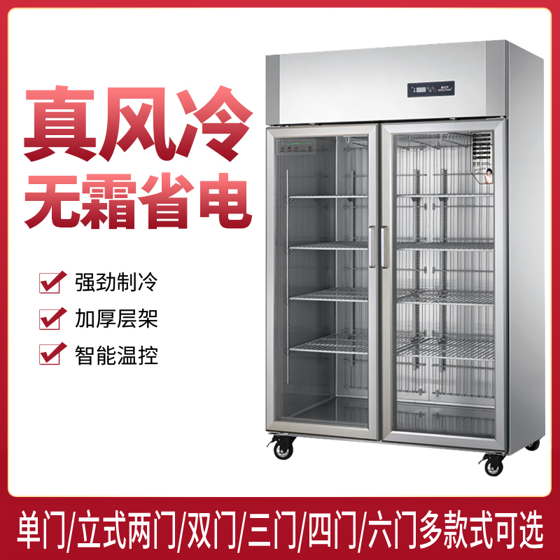 睿丰欧款冰立方风冷单大门陈列柜饮料冷藏展示柜超市立式大容量风冷保鲜冰箱啤酒冷柜商用