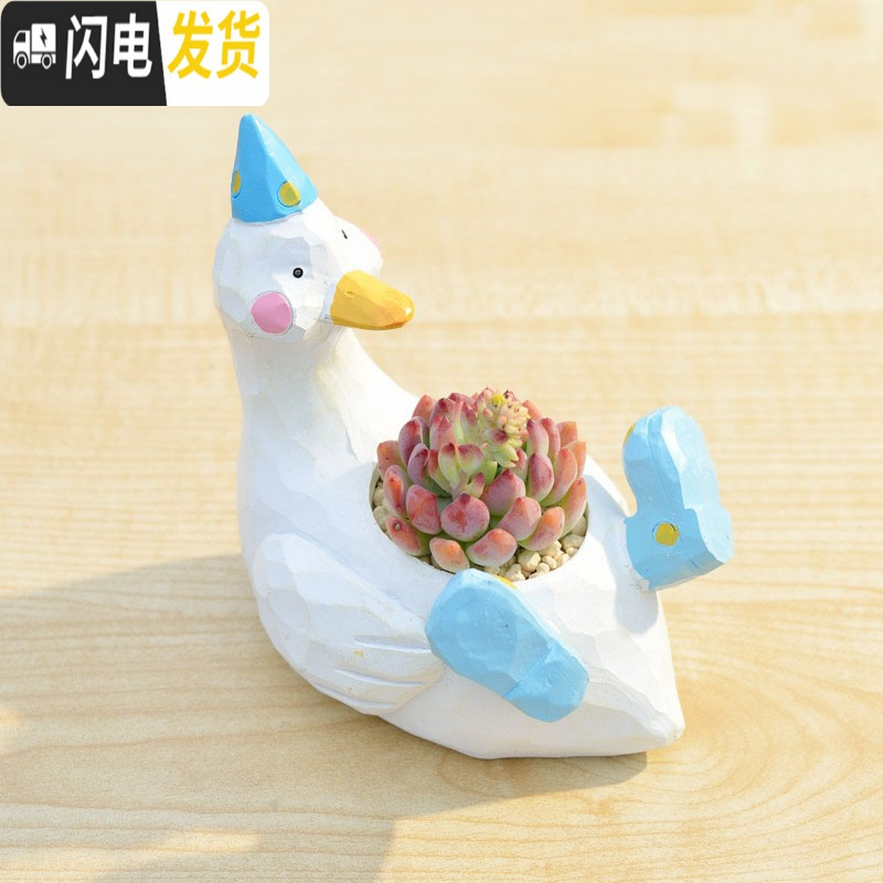 三维工匠zakka田园多肉花盆可爱卡通动物花盆鲸鱼花园派对创意小花盆套餐 鲸鱼岛樱粉+乙女心+happy配土+铺花盆容器