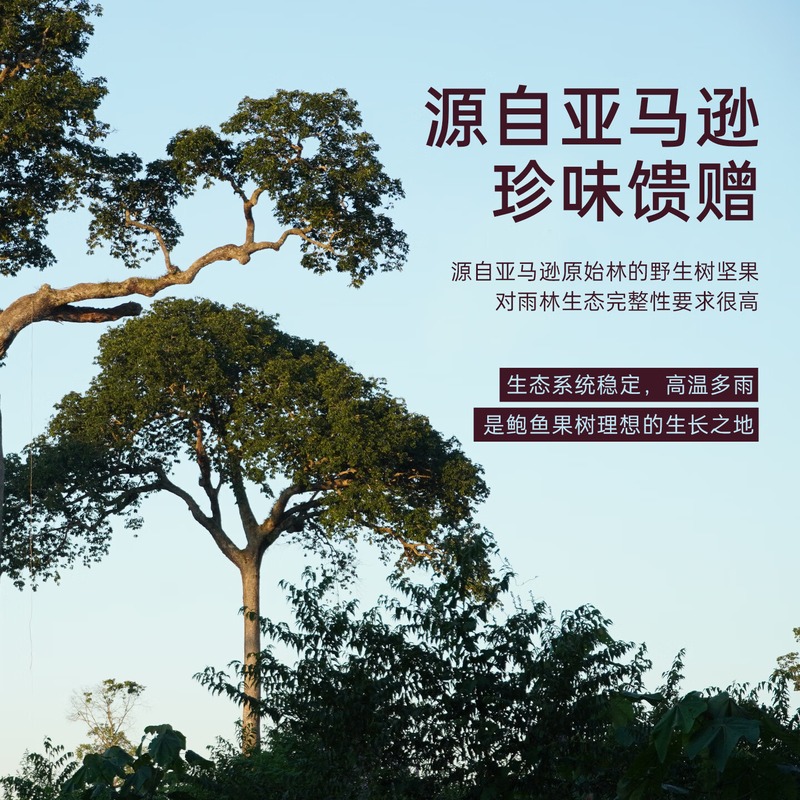 臻味-玻利维亚鲍鱼果仁320g高清大图