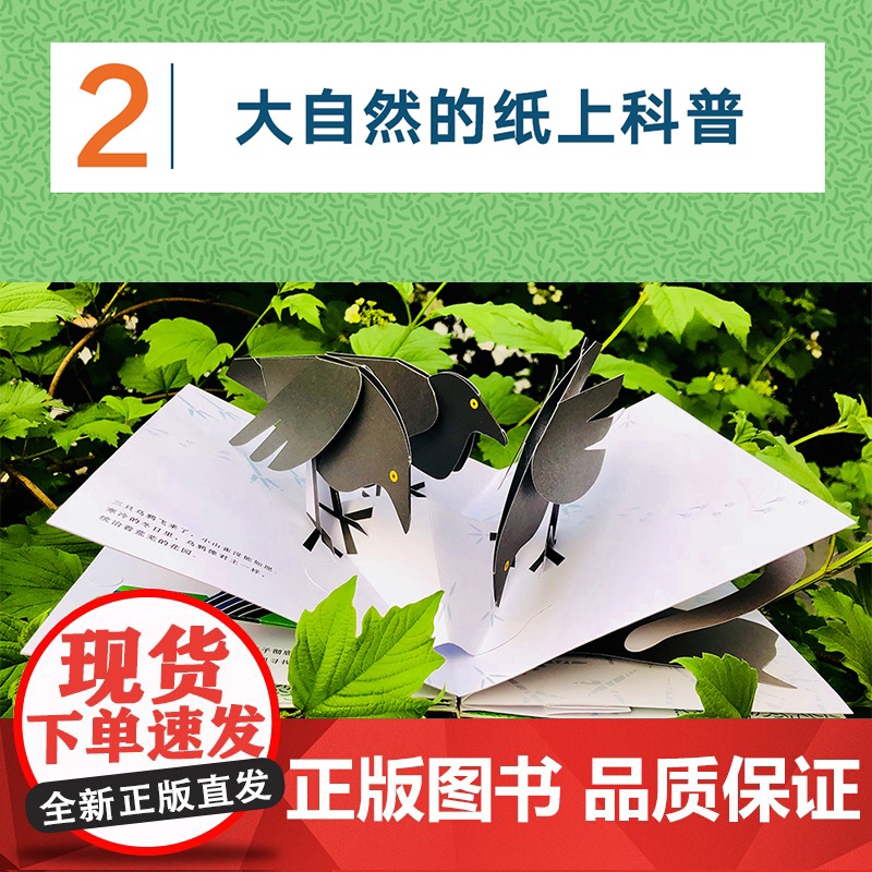 一粒榛子儿童艺术绘本 精致立体书 大自然纸上科普书籍正版 法国安妮-弗洛朗丝·勒马松 3D立体艺术绘本 揭秘大自然科普绘高清大图