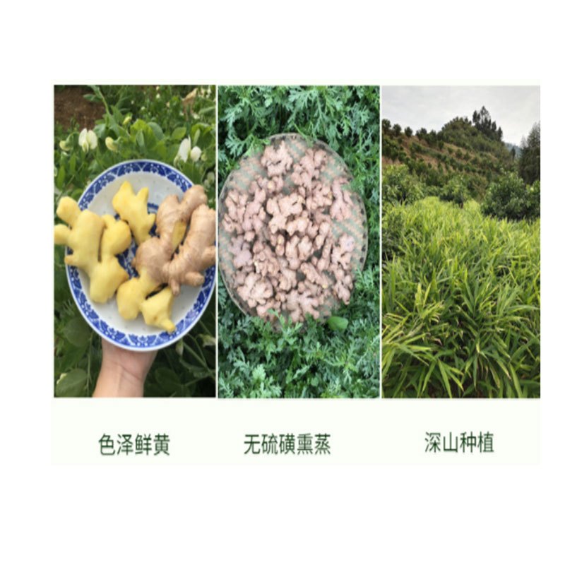 胡成(HUCHENG) 农家生姜 500g