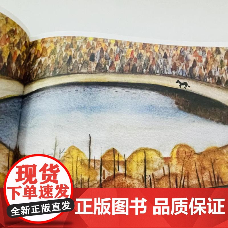 我在所有的秘密里爱你 9787559871008 广西师范大学出版社 蓝蓝 著 2024-08高清大图