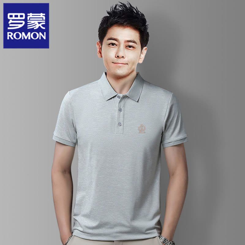罗蒙夏季翻领短袖t恤男带领中青年商务休闲刺绣简约百搭POLO衫图片
