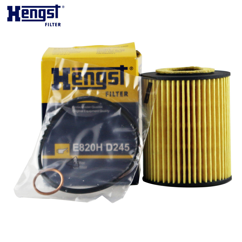 汉格斯特(hengst)机油格滤清器纸芯E820H D245适用于新款宝马114i 116i 118i 316Li