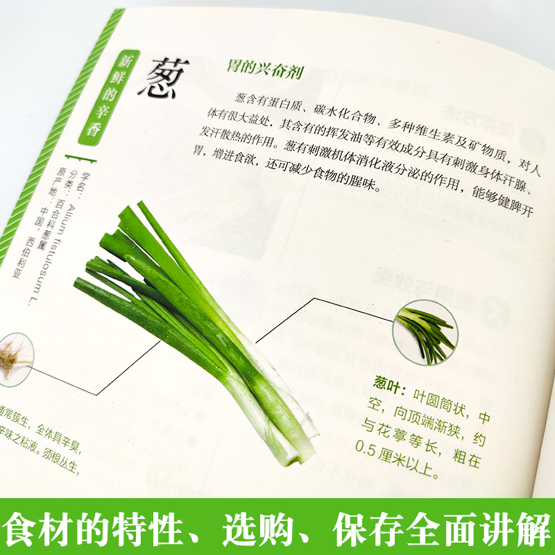 [醉染正版]蔬菜手册.健康篇 应季蔬菜料理完全指南蔬菜保存保鲜方法临床营养学分析食品营养膳食家常菜低卡料理营养书健康蔬菜高清大图