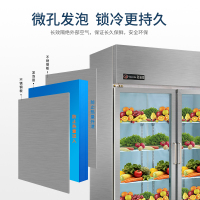 歌迪亚CFR-40B2T 800L 双开门冰箱 商用展示柜 立式陈列柜冰箱 保鲜冷藏柜 超市啤酒饮料柜 不锈钢