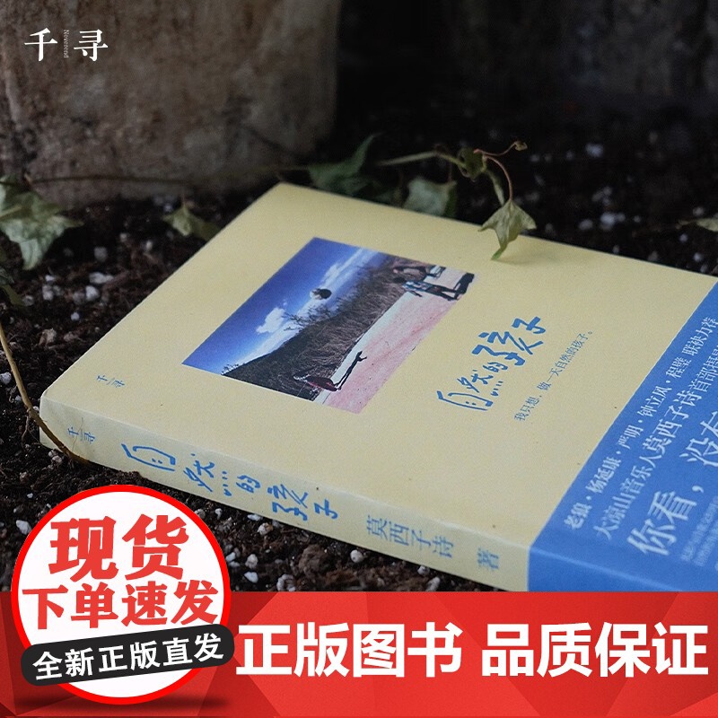 千寻艺术 自然的孩子 11-14岁 莫西子诗 著 儿童文学高清大图