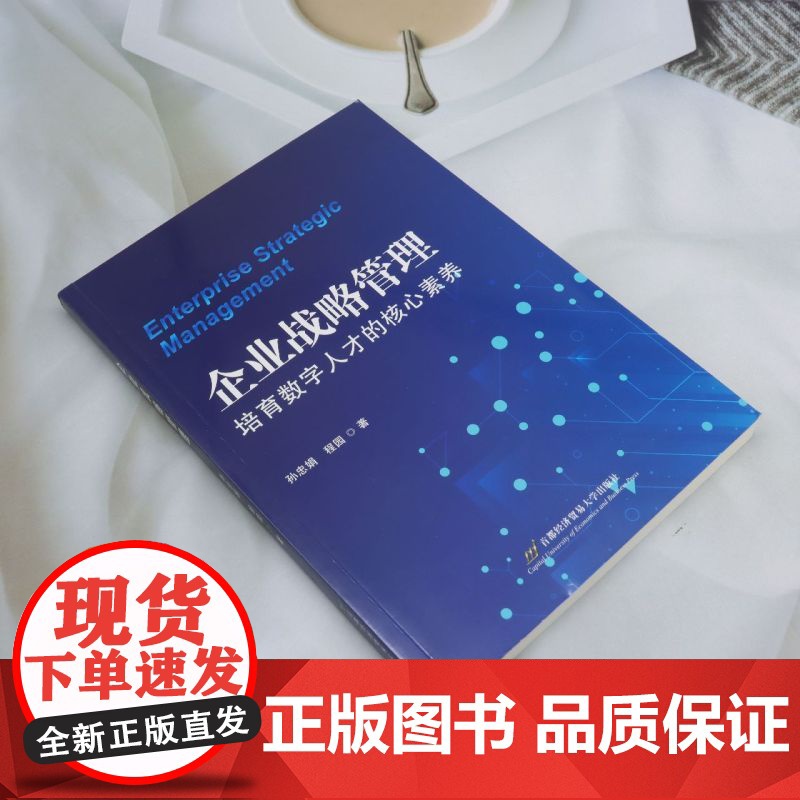 企业战略管理:培育数字人才的核心素养高清大图