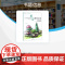 手绘景观元素--植物篇(高等教育十三五部委级规划教材)