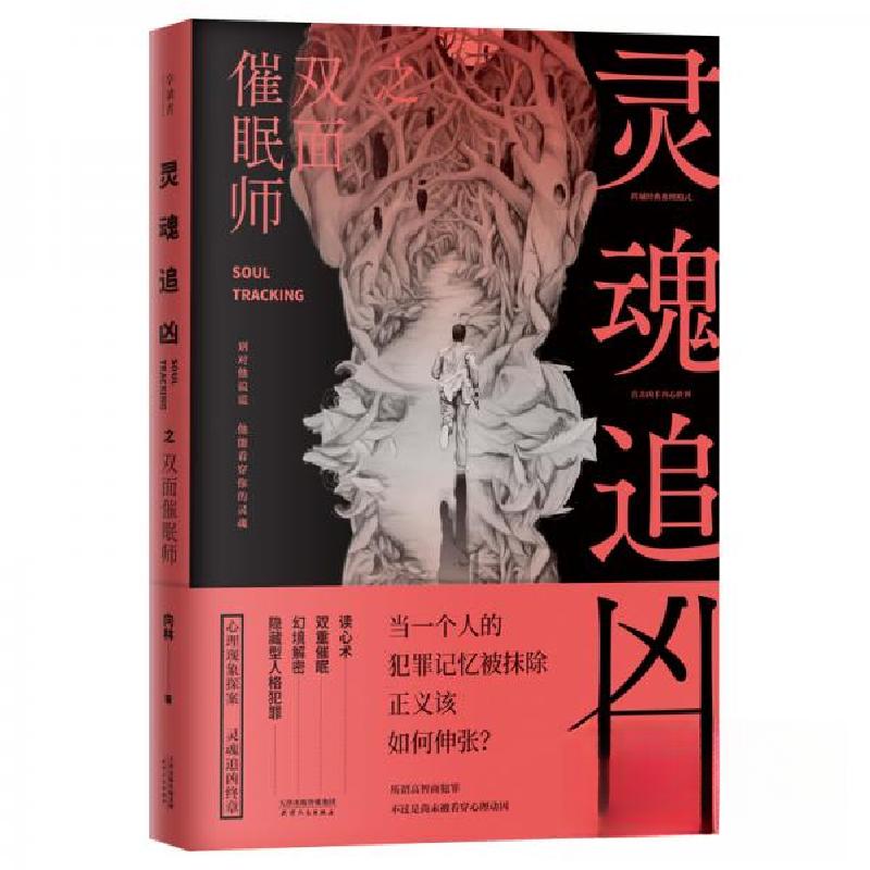 正版新书】灵魂追凶之双面催眠师(《独白者》作者向林新作、国内