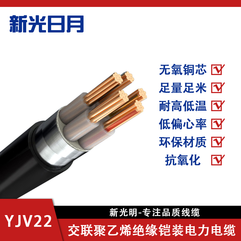 新光日月阻燃交联聚乙烯绝缘铠装电力电缆ZC-YJV22 2×6mm²/米高清大图