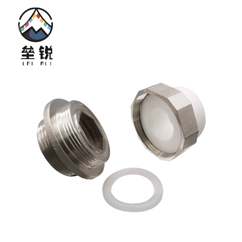 垒锐 PPR热熔补芯(正反扣) 一寸 个高清大图