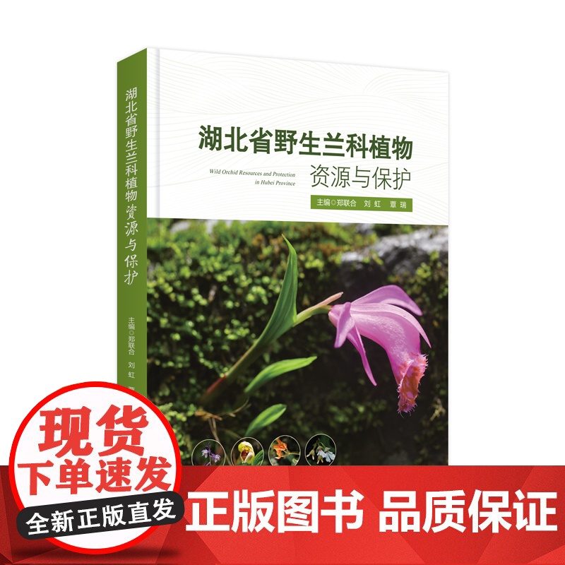 湖北省野生兰科植物资源与保护高清大图