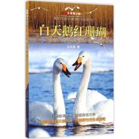 白天鹅红珊瑚 沈石溪 著 著作 少儿 文轩网