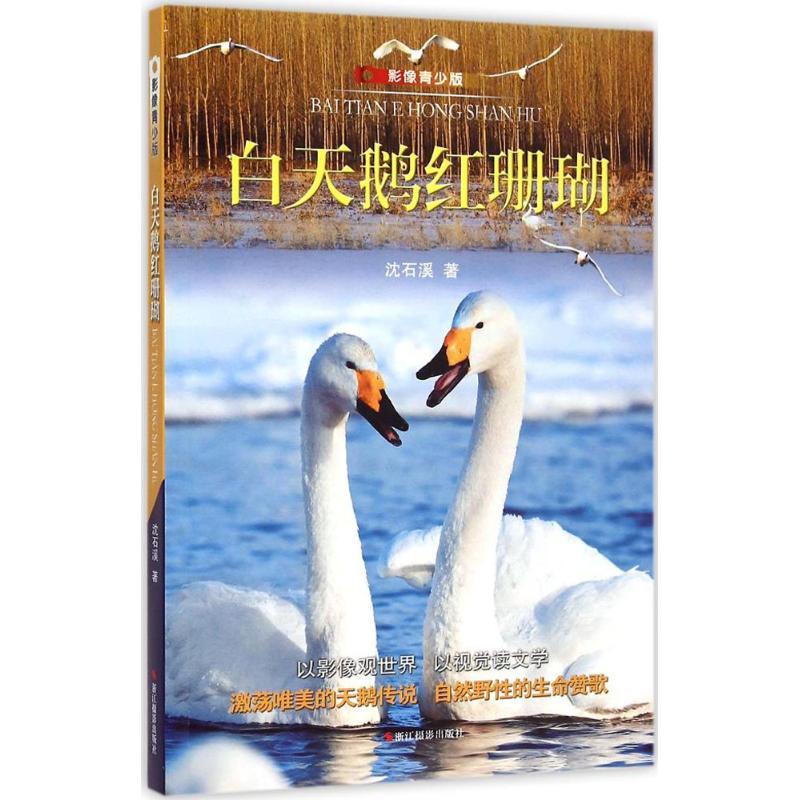 白天鹅红珊瑚 沈石溪 著 著作 少儿 文轩网