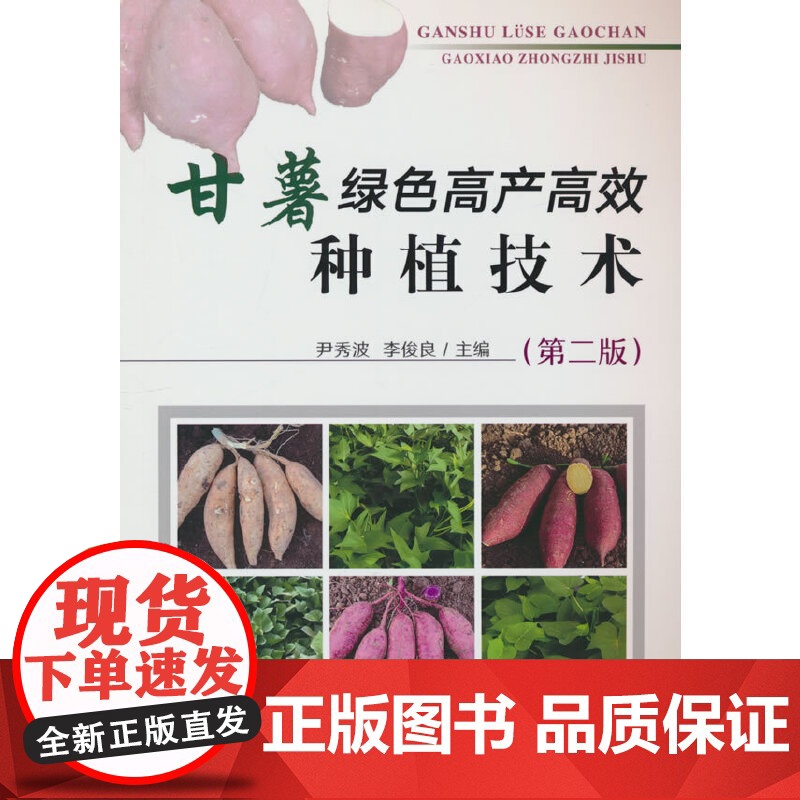甘薯绿色高产高效种植技术(第二版)高清大图