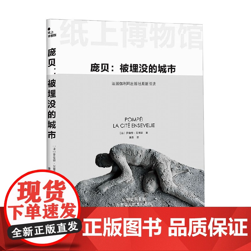 庞贝 被埋没的城市 罗伯特·艾蒂安 著 世界史高清大图
