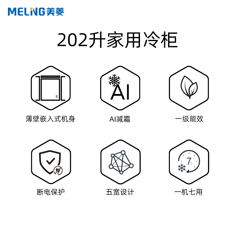 美菱(MELING)冷柜BC/BD-202DTS