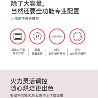 长帝 电烤箱CRDF52WBL 52L 海棠粉 电子控温 家商两用 低温发酵 旋转烧烤 四层烤位 可烤双鸡蛋糕