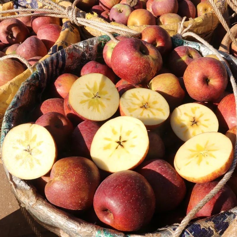 四川大凉山盐源冰糖心红富士丑苹果新鲜当季水果整箱