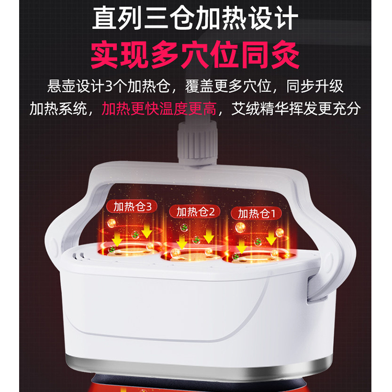 COFLYee 艾灸熏蒸仪家用艾灸仪器美容院专用一体机无烟理疗悬灸仪 标准版高清大图