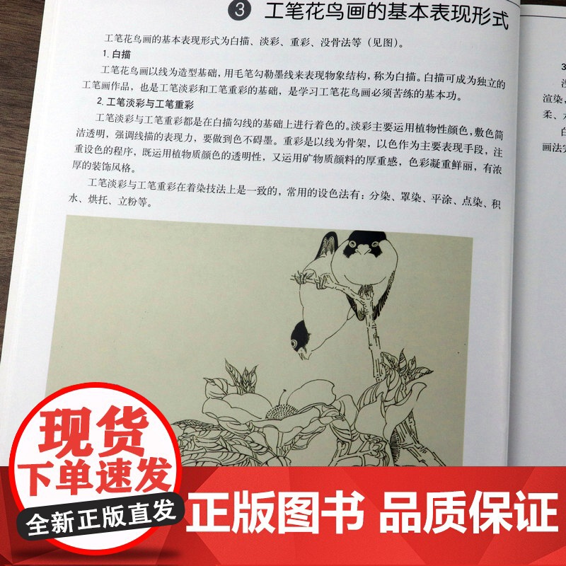 国画入门工笔花鸟画法 绘画入门系列丛书中国画工笔白描花鸟入门教程正统工笔花鸟技法 绘画步骤图技巧解析临摹范本教材书籍高清大图