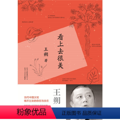 [正版]看上去很美(精)