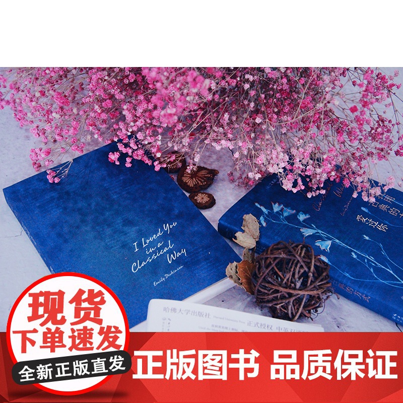 我用古典的方式爱过你(哈佛大学出版社授权!“诗界梵高”艾 艾米莉·狄金森 时代华语 长江文艺出版社 正版书籍高清大图