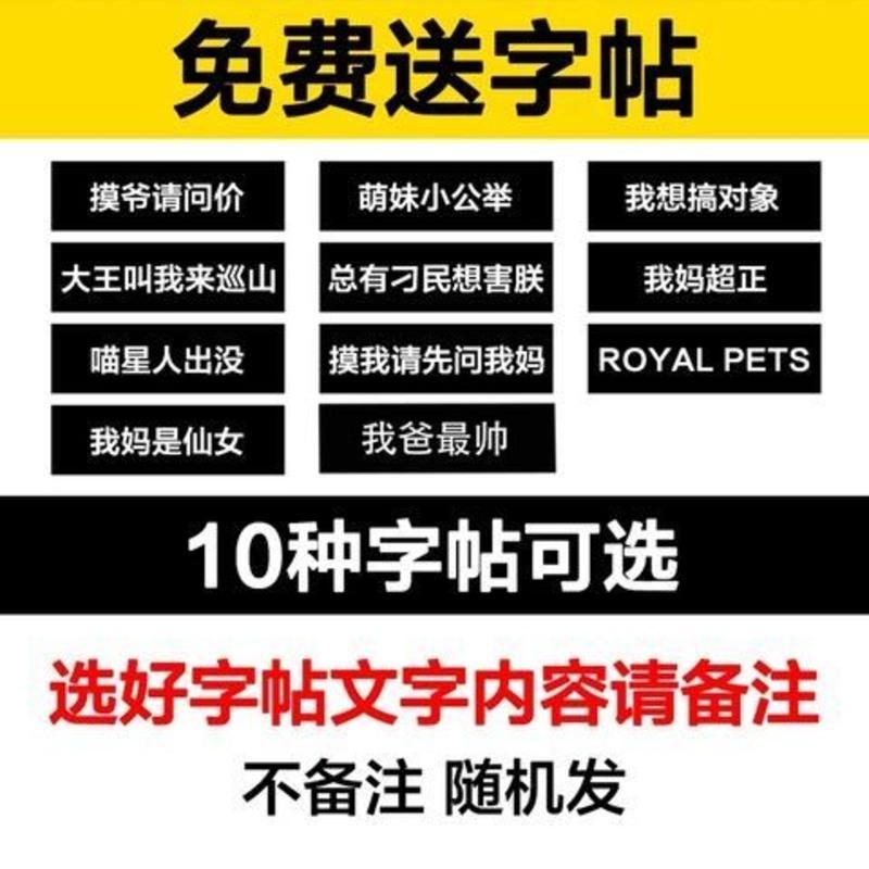 红色 L适合19斤内 猫咪牵引绳防挣脱猫绳专用背心式溜猫绳栓猫背带遛猫绳神器猫链子