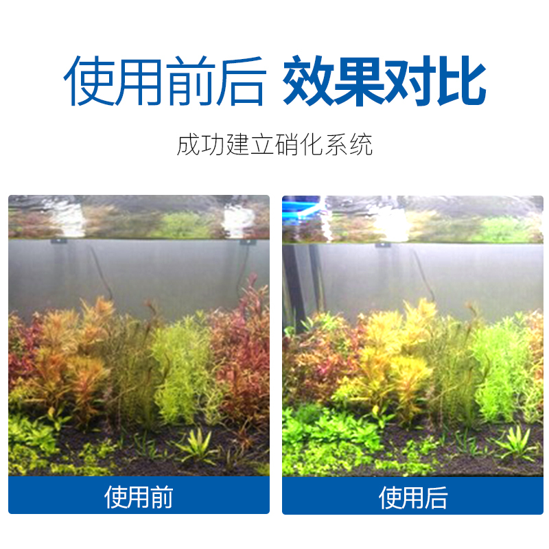浓缩硝化细菌干粉细菌鱼缸用活菌水族养鱼用品水质净化硝化菌高清大图