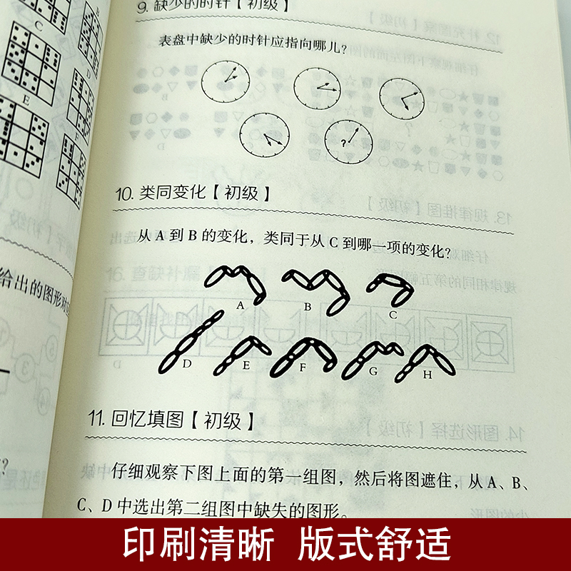 [正版]书籍 挑战大脑的逻辑游戏 左右脑潜能智力记忆力逻辑思维开发正能量职场成功自我实现励志书籍高清大图