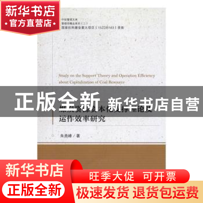 正版 煤炭资源资本化支撑理论及运作效率研究 朱亮峰著 中国经济高清大图