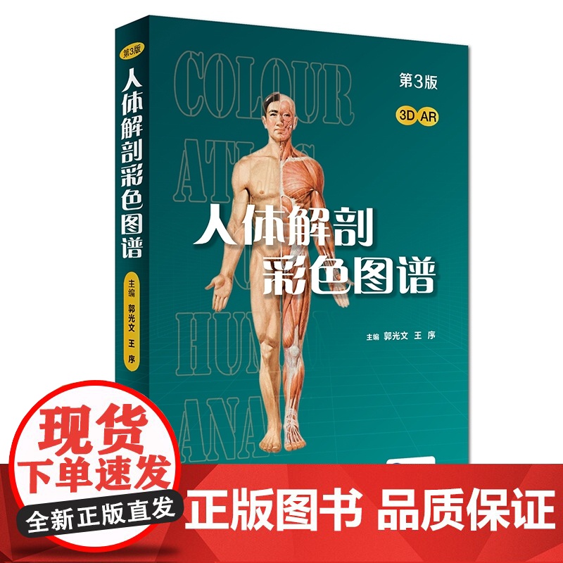 人体解剖彩色学图谱 第三版第3版新版郭光文3D搭奈特医用医学生解剖书外科全彩局部系统实用解剖彩绘本科大学教材二版升级人民高清大图