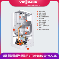国产普通Vitopend 100-W A1JE 两用式 24KW