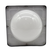 驰洛科 CLPT9192-100P 220V 100W IP65 平台灯 (计价单位:个) 银灰色