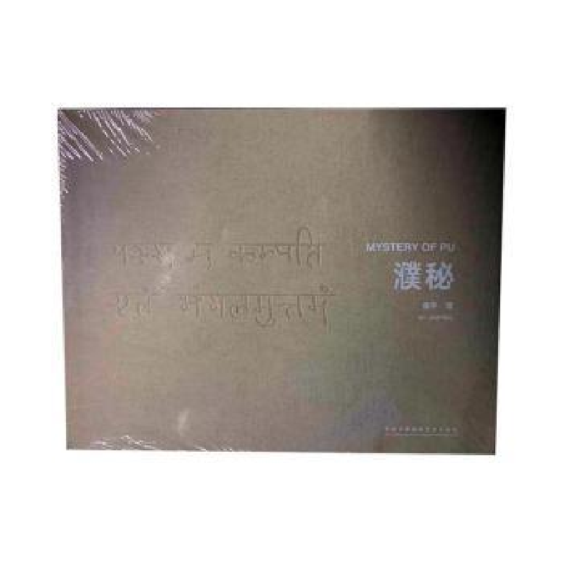 诺森濮秘金平著9787512211414中国民族摄影艺术出版社