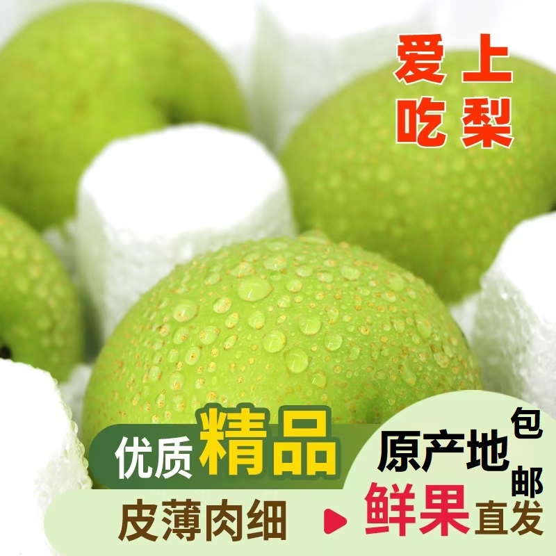 青皮蜜梨砀山翠冠梨净重4.5斤新鲜当季果园直采脆梨水果 甜脆多汁 皮薄肉厚 送礼公司福利采购高清大图