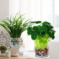 仿真绿植铜钱草办公室仿真绿色植物客厅室内摆件装饰花瓶盆栽假花