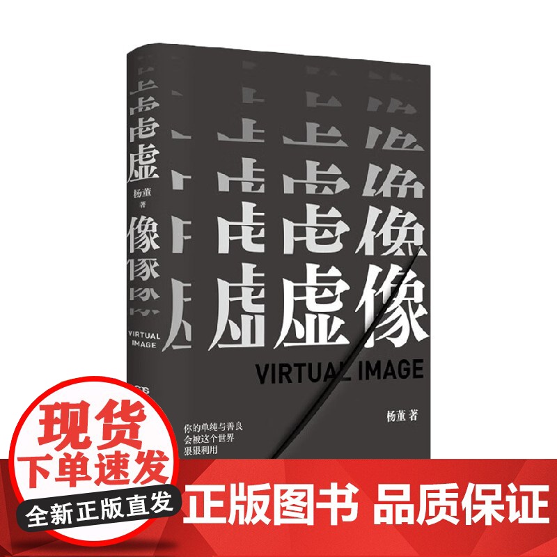 虚像 杨董 著 一个女记者的理想之死 你的单纯与善良会被这个世界狠狠利用 小说高清大图