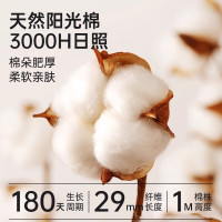 浪莎秋裤男纯棉7A男士修身打底棉毛裤中年秋冬防螨保暖裤底裤 深灰 XXL/180