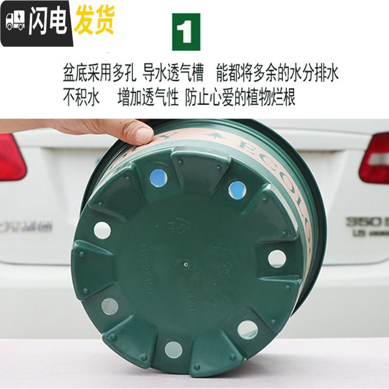 三维工匠塑料玫瑰盆栽花肉肉绿萝月季专用加伦树脂家用特大号超大加仑花盆 [3个盆] 矮胖5.5L(口径25cm)花盆容器高清大图