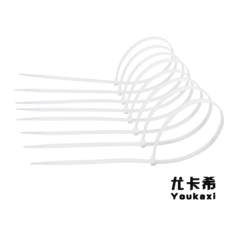尤卡希(Youkaxi) 尼龙扎带 5*300mm 100条/包高清大图