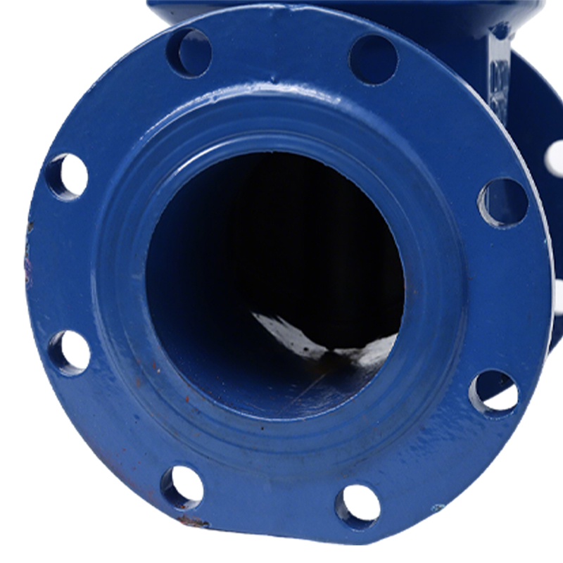 卡西斯顿 球墨铸铁闸阀 DN65 个高清大图