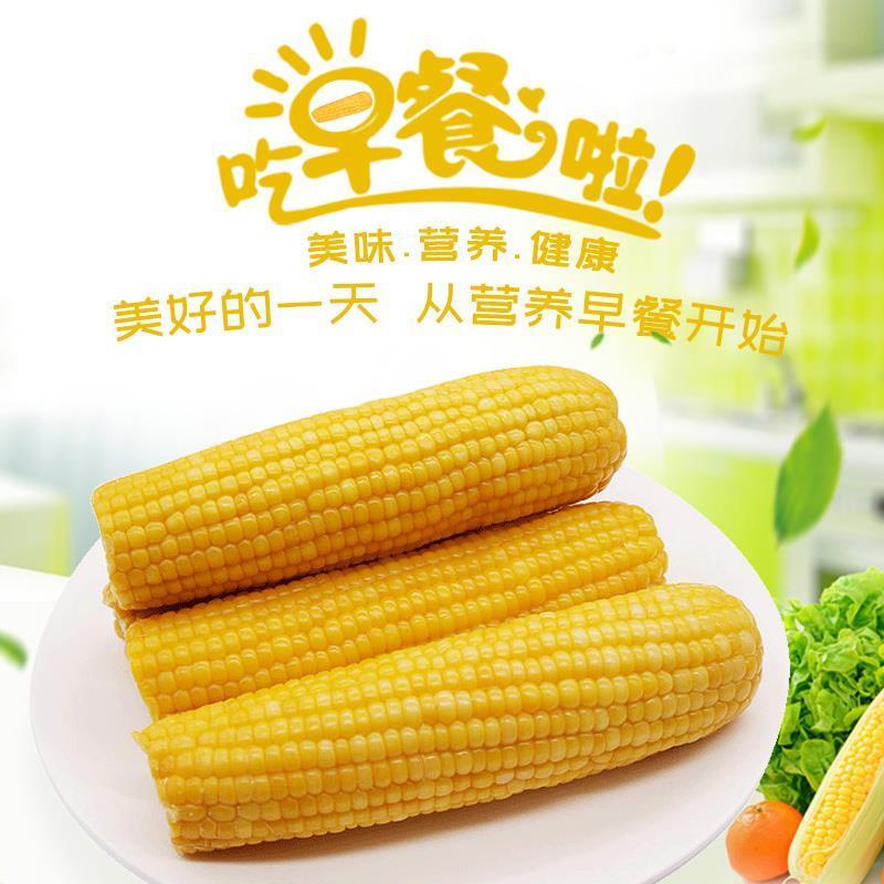 闲居人6支装约1.5kg 玉米 鲜食黄糯玉米棒 真空包装 东北查干湖粘玉米
