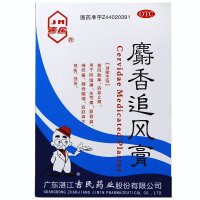 吉民 麝香追风膏 7cm*10cm 10片