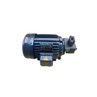 HEYUNCN 油泵电机 LMD-853 220V2.2KW