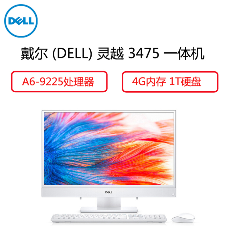 戴尔 (DELL)灵越3477-R1525W 23.8英寸一体机电脑（I5-7200U 8G 1T 2G独 蓝牙 ）