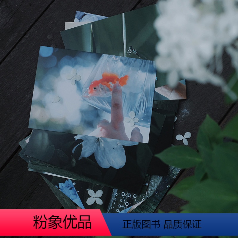 【正版】绿了流年 摄影师@-Leeleven-28张森林初夏绿色风光摄影作品集 如沐春风美好温柔出类艺术明信片创意唯美